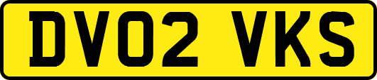 DV02VKS