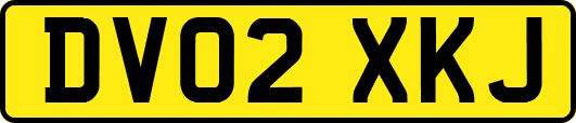DV02XKJ