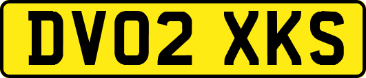 DV02XKS