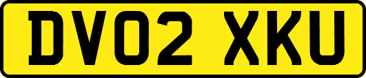 DV02XKU