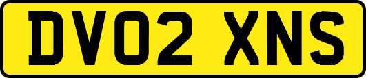 DV02XNS