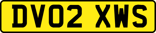 DV02XWS