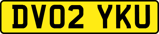 DV02YKU