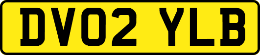 DV02YLB
