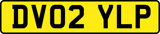 DV02YLP