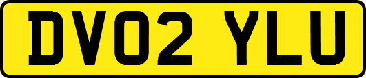 DV02YLU