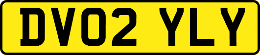 DV02YLY