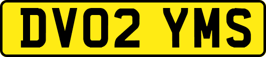 DV02YMS