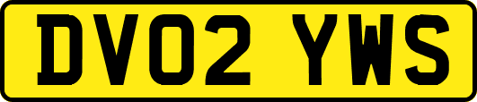 DV02YWS
