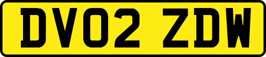 DV02ZDW