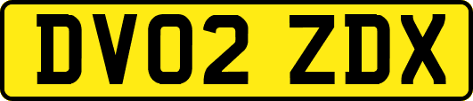 DV02ZDX