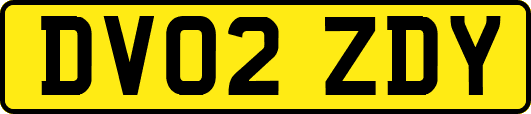 DV02ZDY