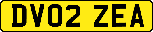 DV02ZEA