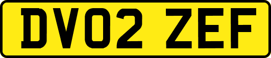 DV02ZEF