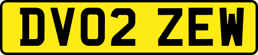 DV02ZEW