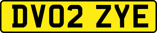 DV02ZYE