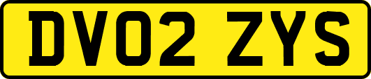 DV02ZYS