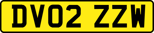 DV02ZZW