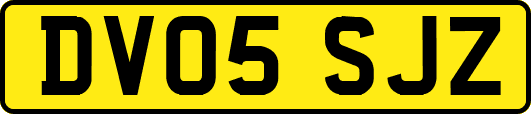 DV05SJZ