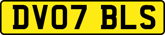 DV07BLS