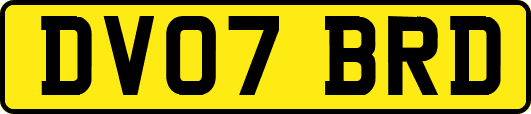 DV07BRD