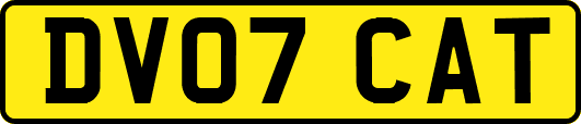 DV07CAT