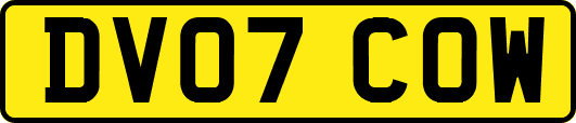 DV07COW