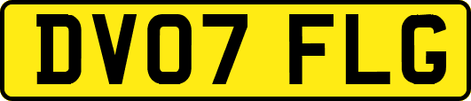 DV07FLG