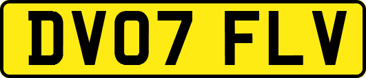 DV07FLV