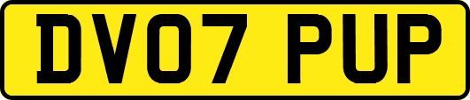 DV07PUP