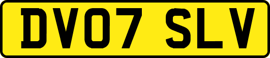 DV07SLV
