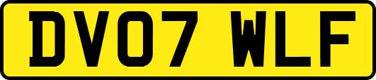 DV07WLF