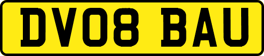 DV08BAU