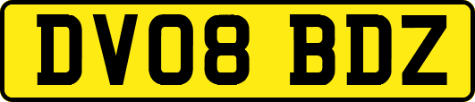 DV08BDZ
