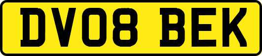 DV08BEK