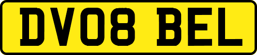 DV08BEL