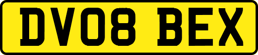 DV08BEX