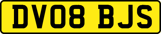 DV08BJS