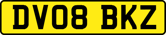 DV08BKZ