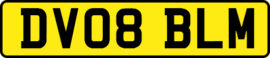 DV08BLM