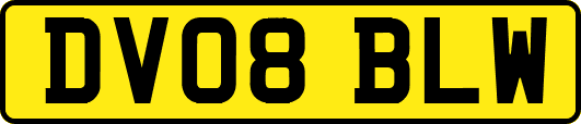DV08BLW