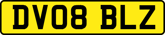 DV08BLZ