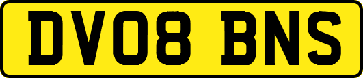 DV08BNS
