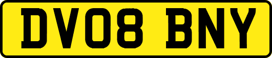 DV08BNY