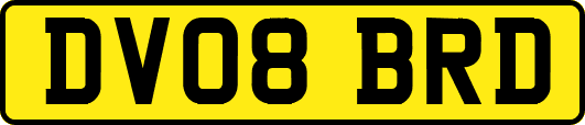 DV08BRD