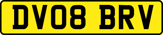DV08BRV