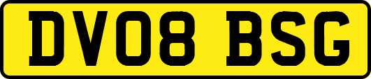 DV08BSG