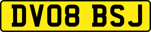 DV08BSJ