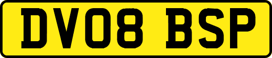 DV08BSP