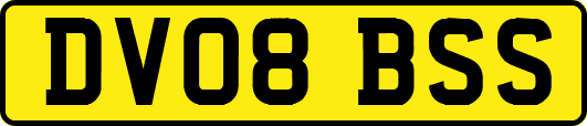 DV08BSS